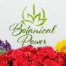 Botanical Power - holistic approach to skin care